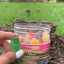 CBD Sour Gummy Bears