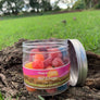 Vegan Sour Gummy Bears